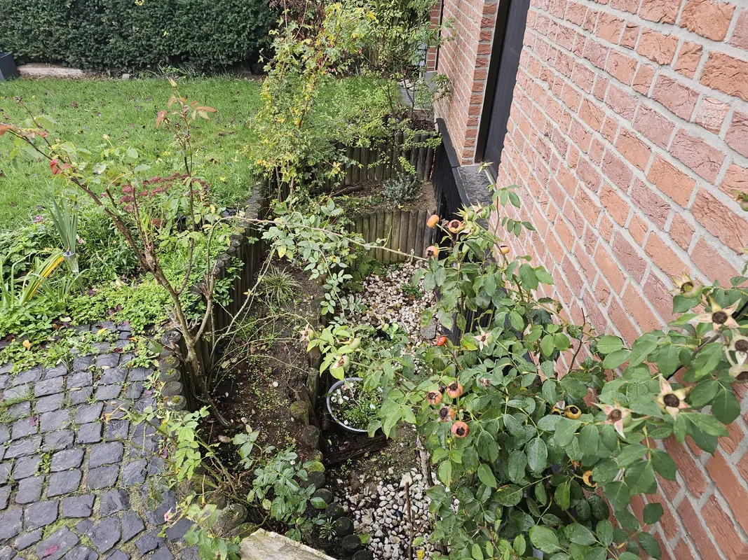Ausgangszustand: verwitterte Holzeinfassung, Münster-Amelsbüren
