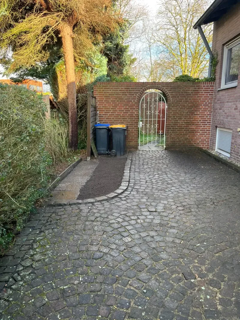 Freie Zufahrt nach der Rodung, Münster